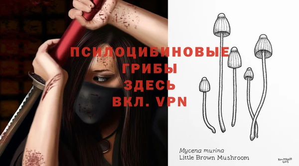 МДПВ Алексин