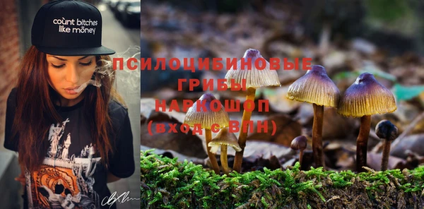 МДПВ Алексин