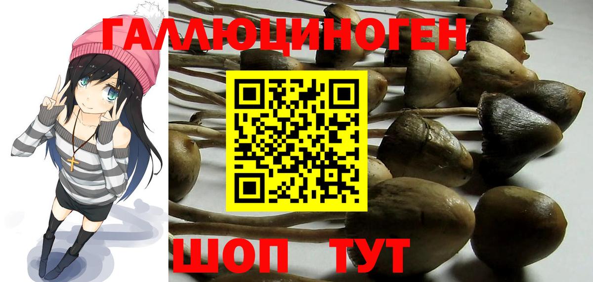 Галлюциногенные грибы мухоморы Арзамас
