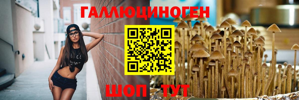 Псилоцибиновые грибы GOLDEN TEACHER  Вход с VPN  Арзамас 